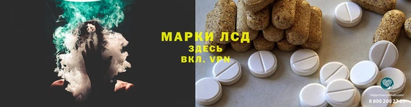 PSILOCYBIN Костерёво