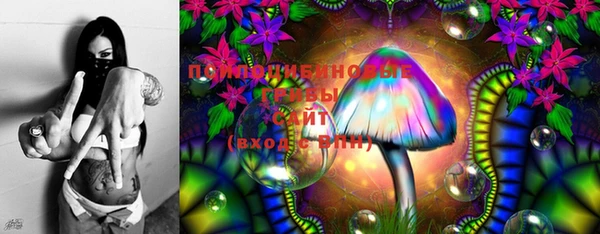 PSILOCYBIN Костерёво