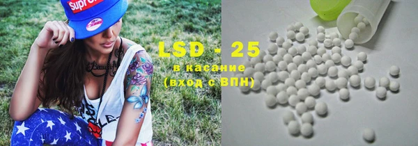 PSILOCYBIN Костерёво