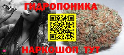 винт Будённовск