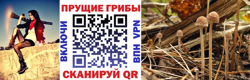наркошоп  Батайск  Галлюциногенные грибы Magic Shrooms 