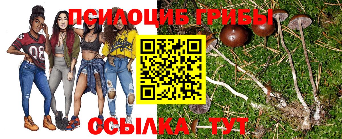 Галлюциногенные грибы Cubensis Батайск