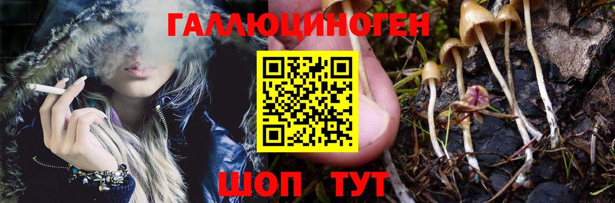 Галлюциногенные грибы прущие грибы Батайск